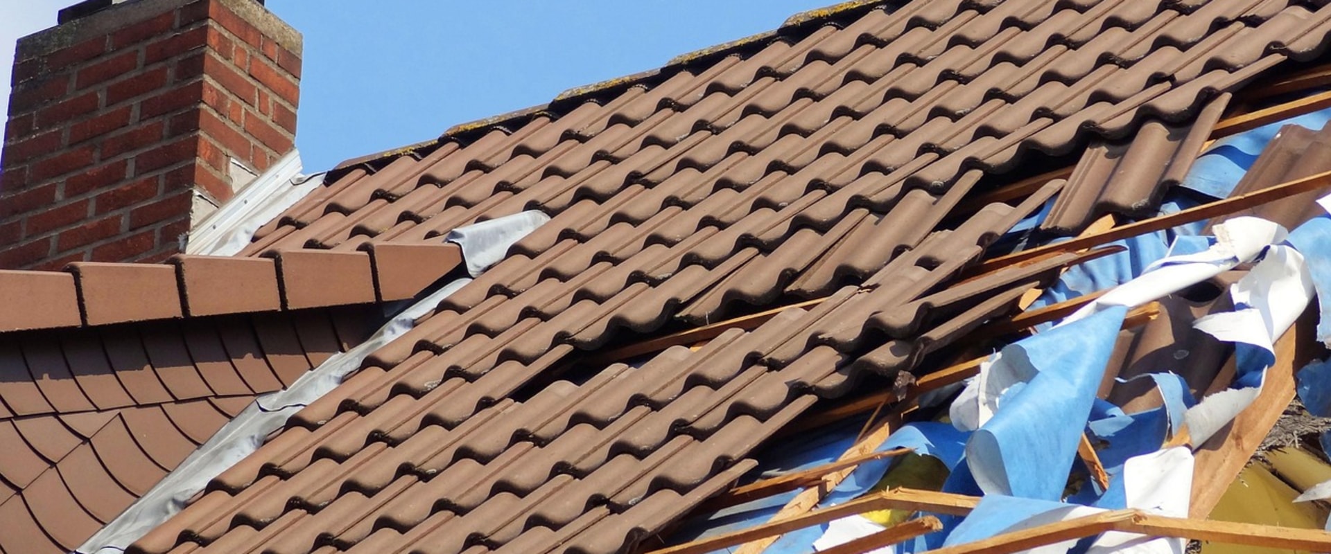 Protect Your Home from Storm Damage & Pests in Seattle