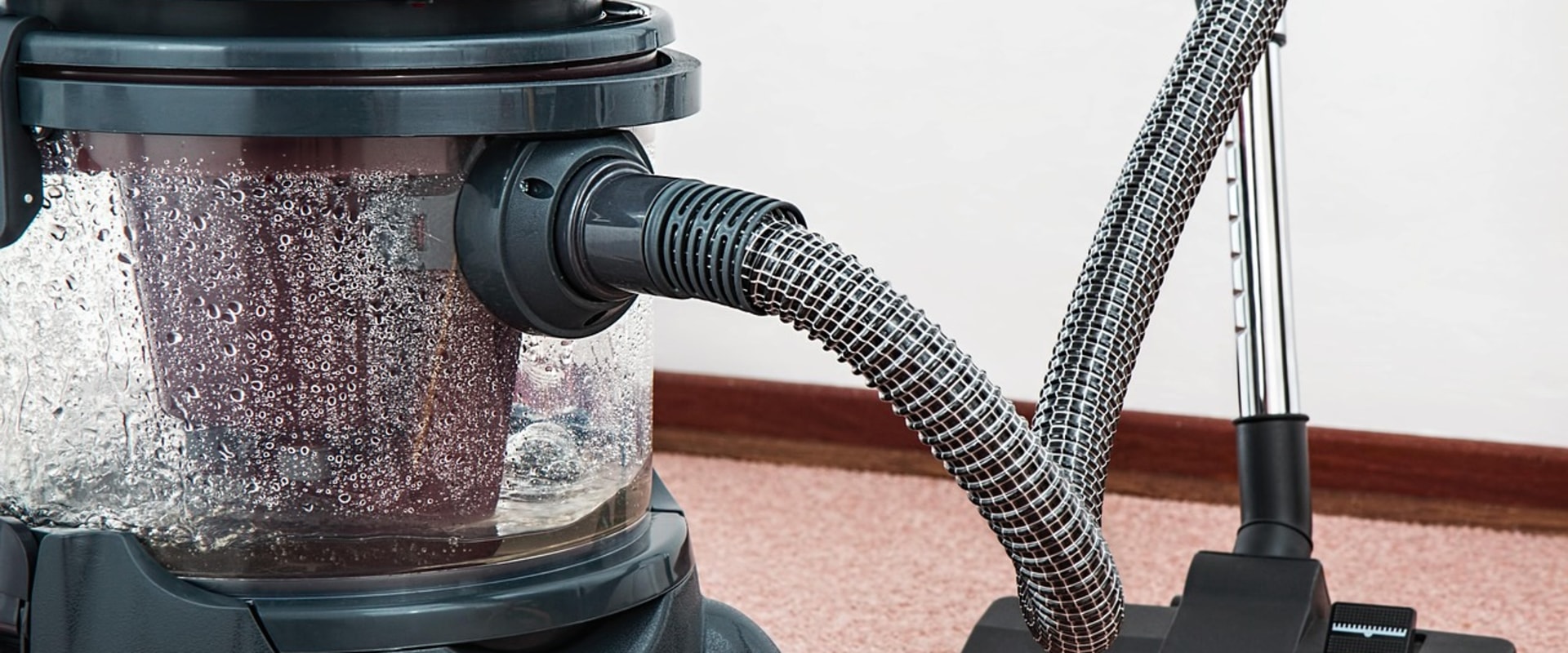 Refresh Your Home with Organic Pest Control & Rug Cleaning