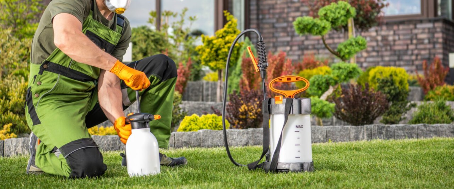 Preparing Your Yard With Organic Pest Control Products Before Bounce House Rentals