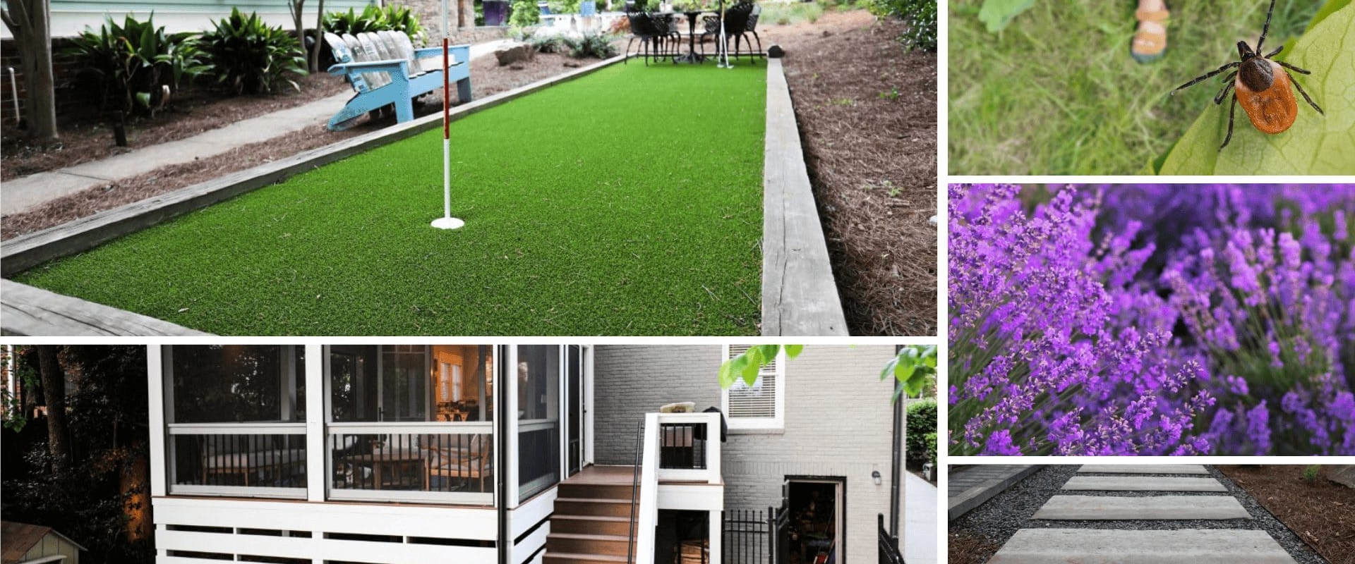 The Role of Organic Pest Control in Protecting Play Areas and Outdoor Sports Spaces