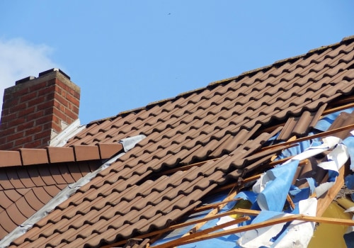 Protect Your Home from Storm Damage & Pests in Seattle