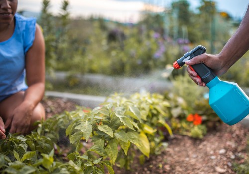 The Importance of Regular Application of Organic Pest Control Products