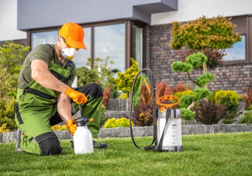 Preparing Your Yard With Organic Pest Control Products Before Bounce House Rentals