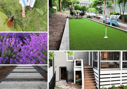 The Role of Organic Pest Control in Protecting Play Areas and Outdoor Sports Spaces